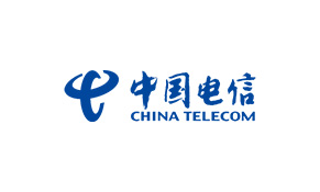Partner Logo 17